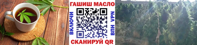 Canna-Cookies конопля  MEGA tor  Руза 